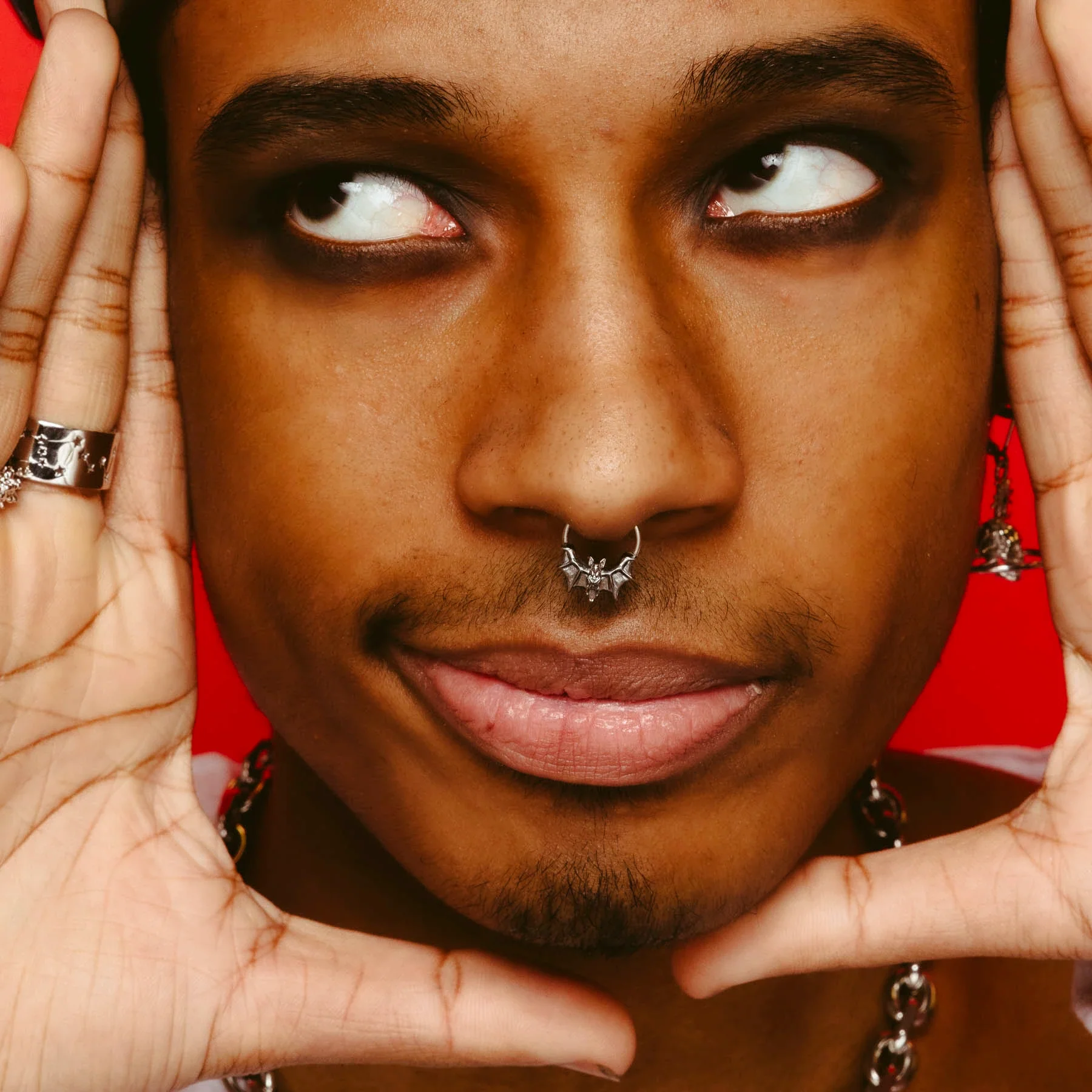 BAT SEPTUM - Image 11