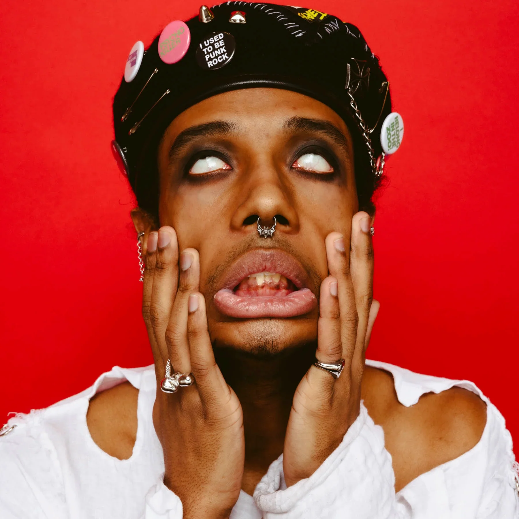 BAT SEPTUM - Image 7