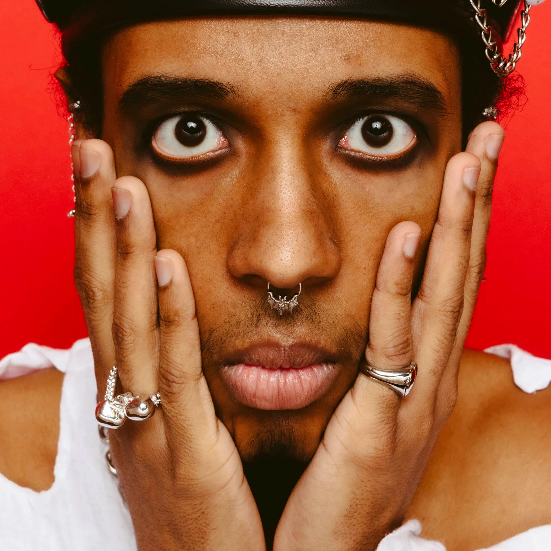 BAT SEPTUM - Image 8