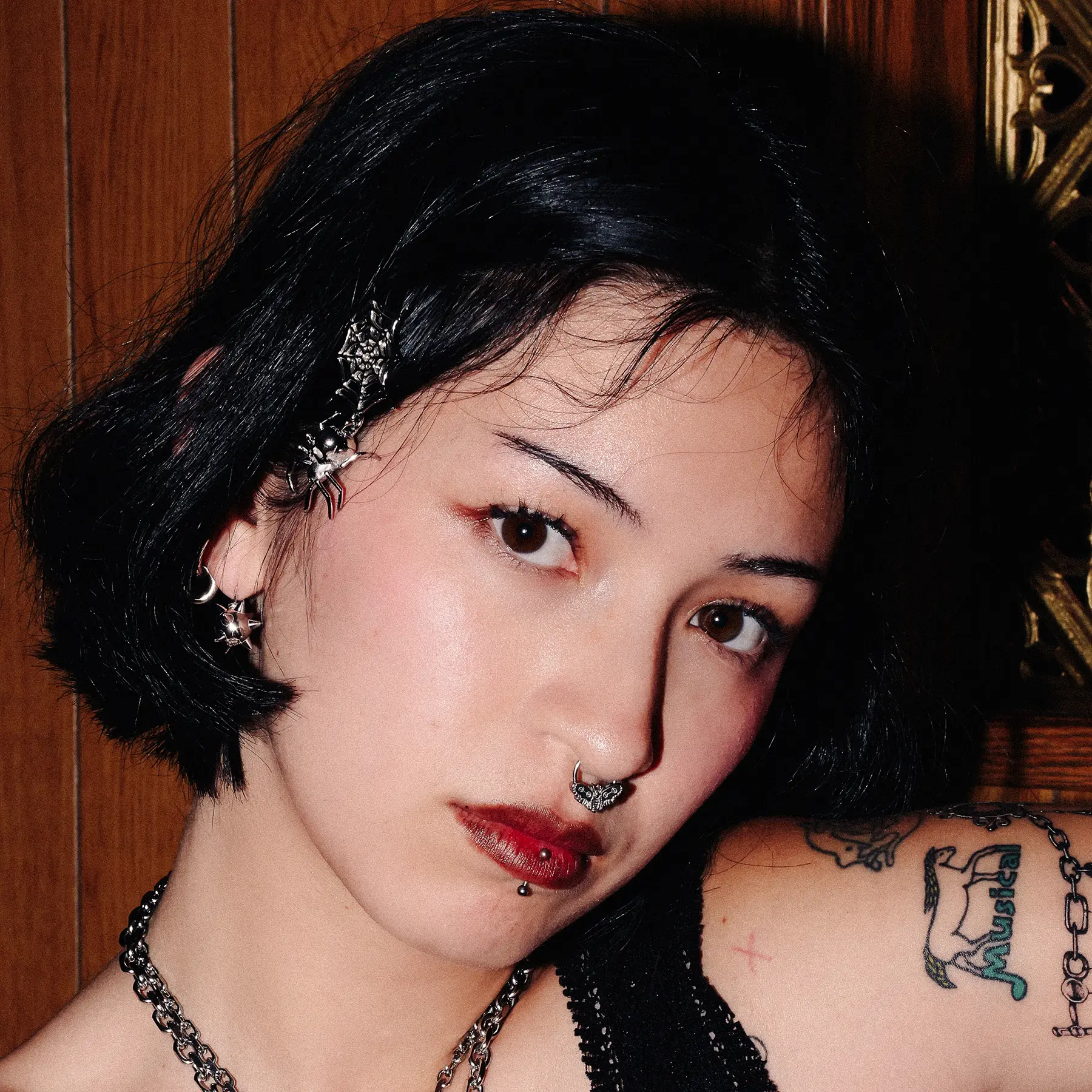 MOTH SEPTUM - Image 5