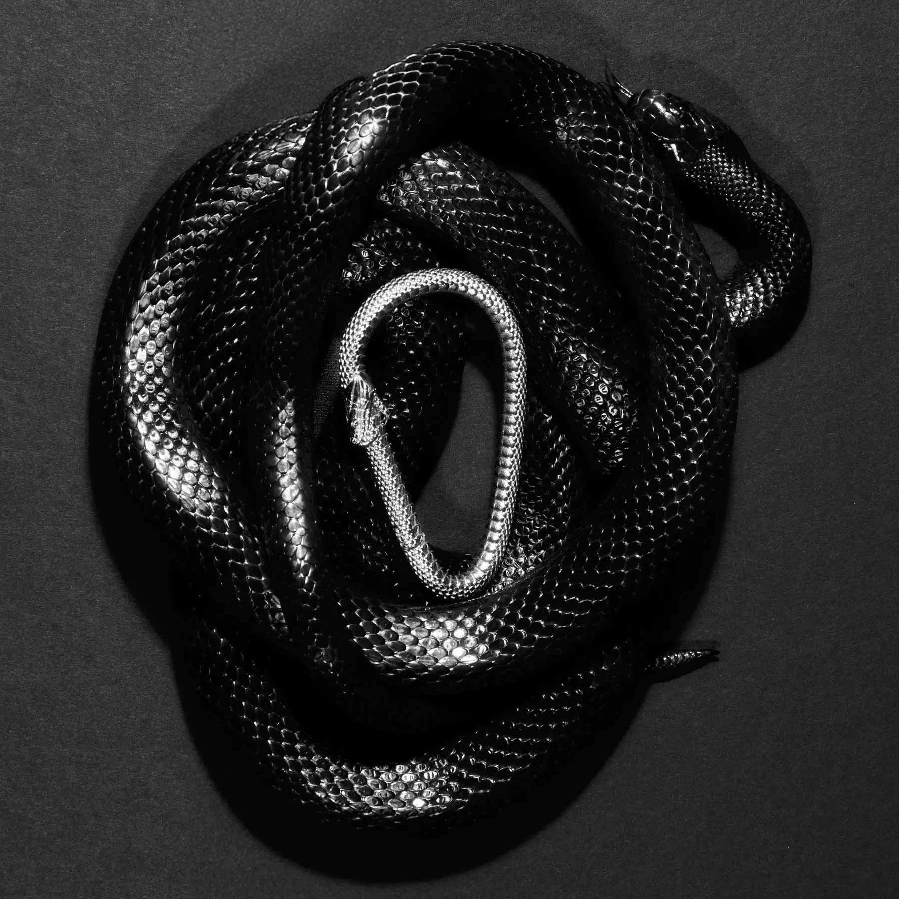 OUROBOROS CARABINER - Image 14