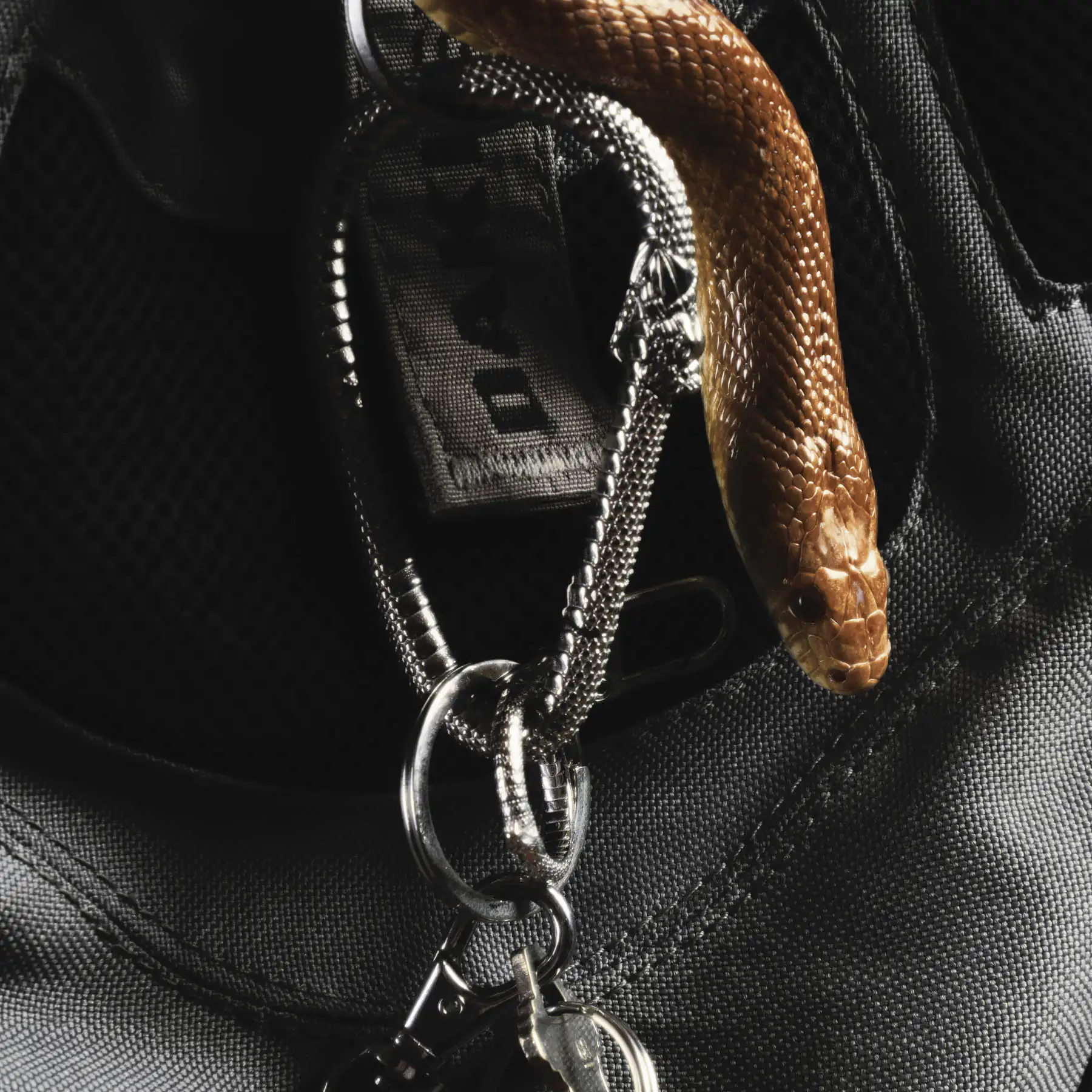 OUROBOROS CARABINER - Image 15