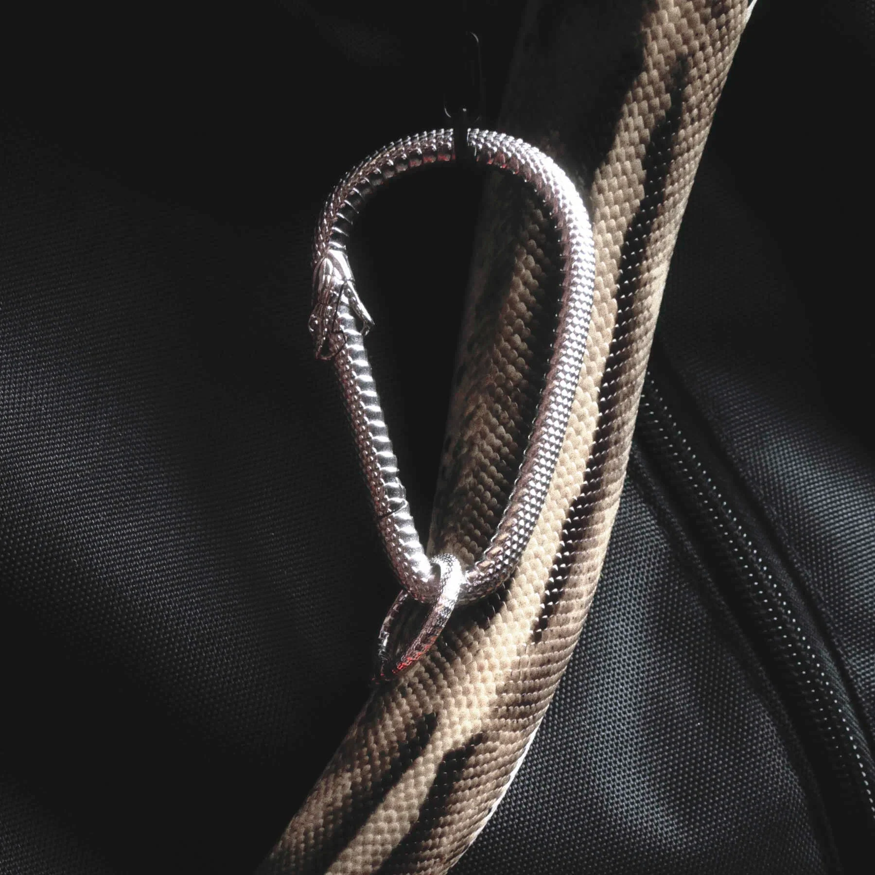 OUROBOROS CARABINER - Image 18