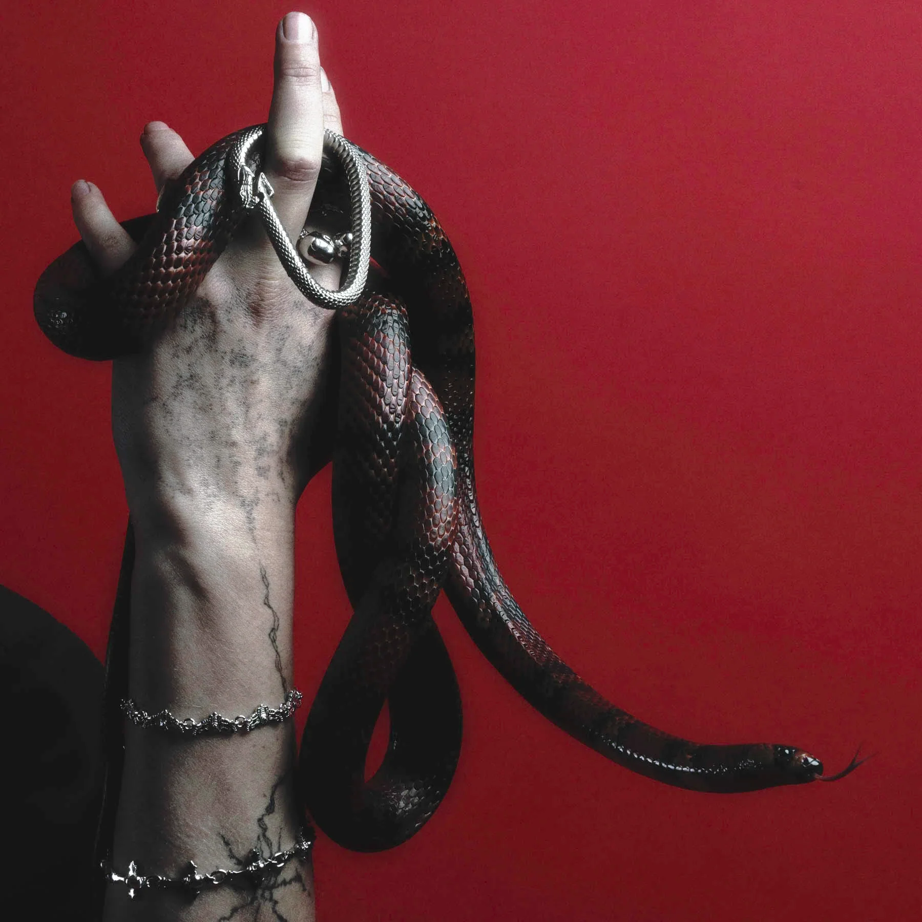 MOTH BRACELET - Image 6