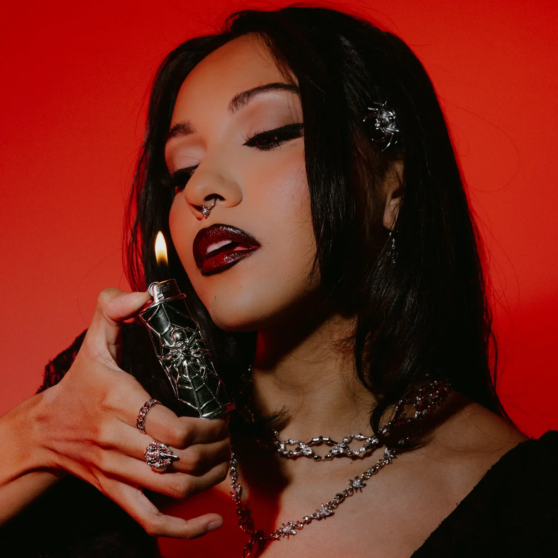 SPIDER LIGHTER CASE - Image 13