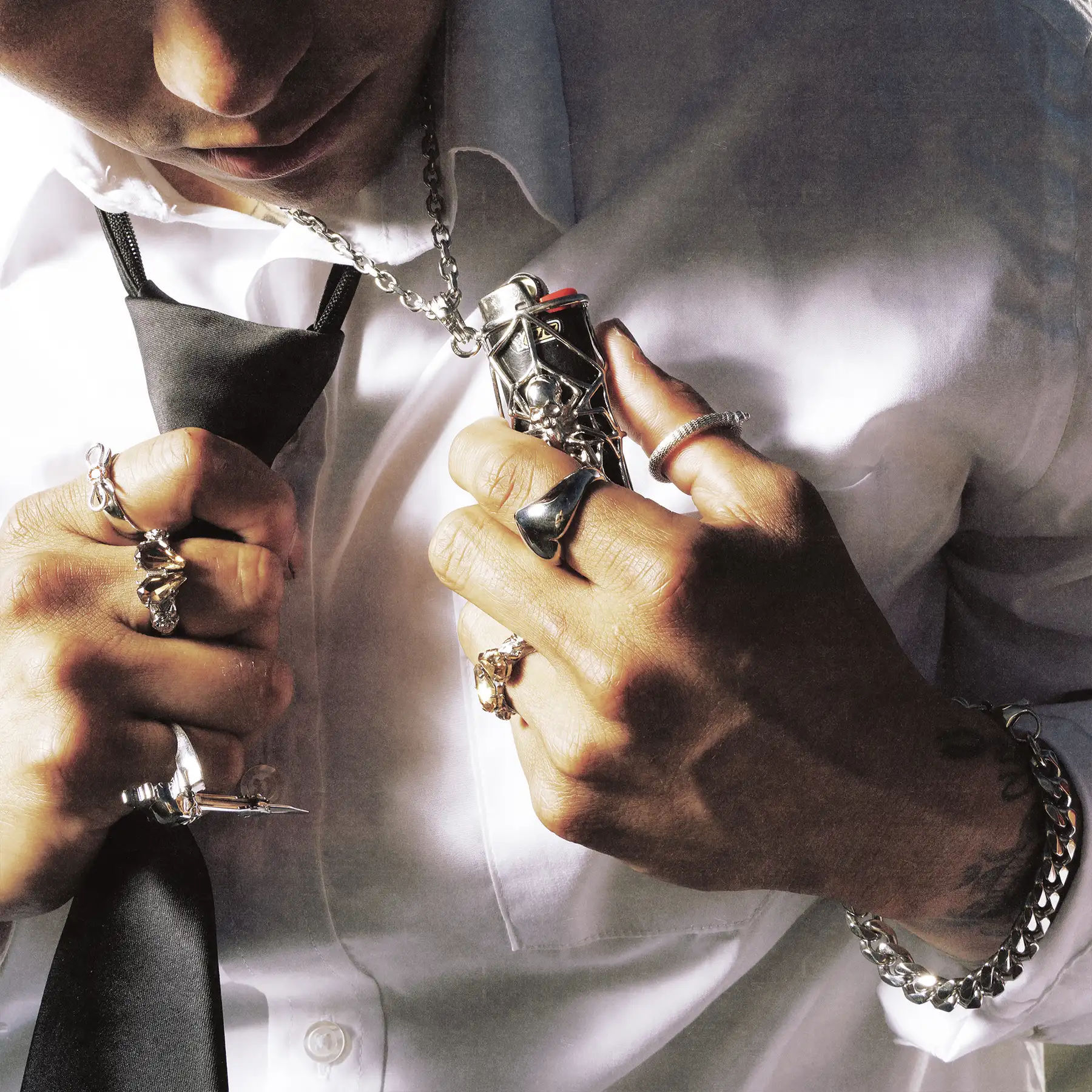 SPIDER LIGHTER CASE - Image 18