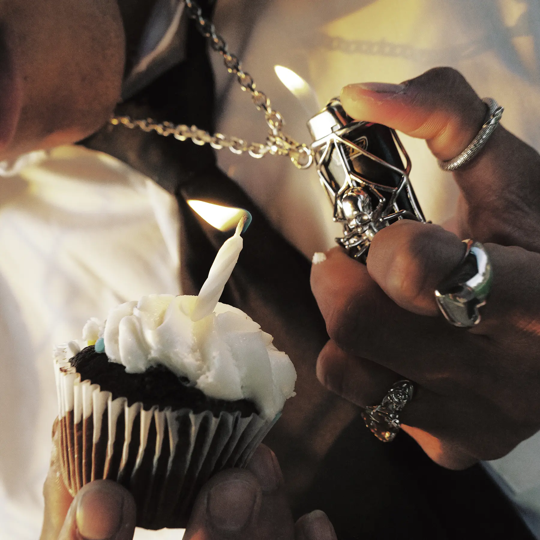 SPIDER LIGHTER CASE - Image 20